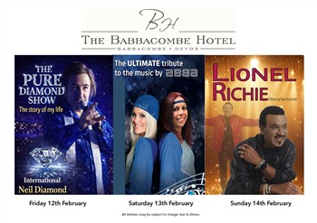 Babbacombe Hotel - Winter Warmer Tribute Weekend 
